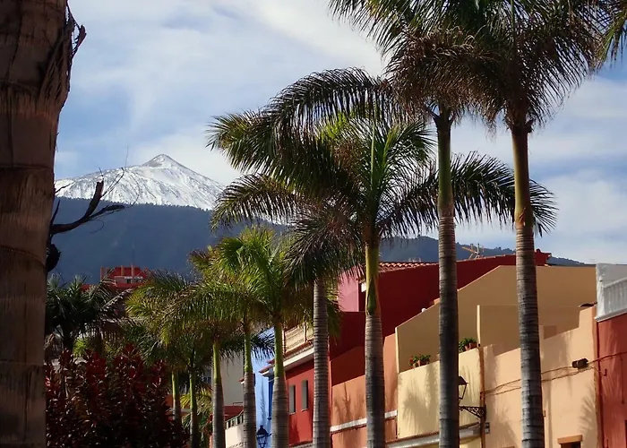 Cerca De Playa Jardin Daire